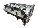 8945f438-4b07-4dc2-9914-6d26dfc8589d-removebg-preview.webp