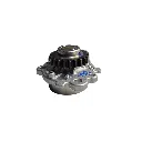 bomba (4).webp