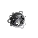 bomba (3).webp