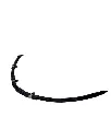 Copia de Texto del párrafo (88).webp