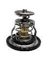Copia de Texto del párrafo (15).webp