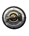 Copia de Texto del párrafo (17).webp