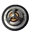 Copia de Texto del párrafo (20).webp