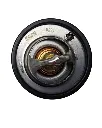 Copia de Texto del párrafo (26).webp