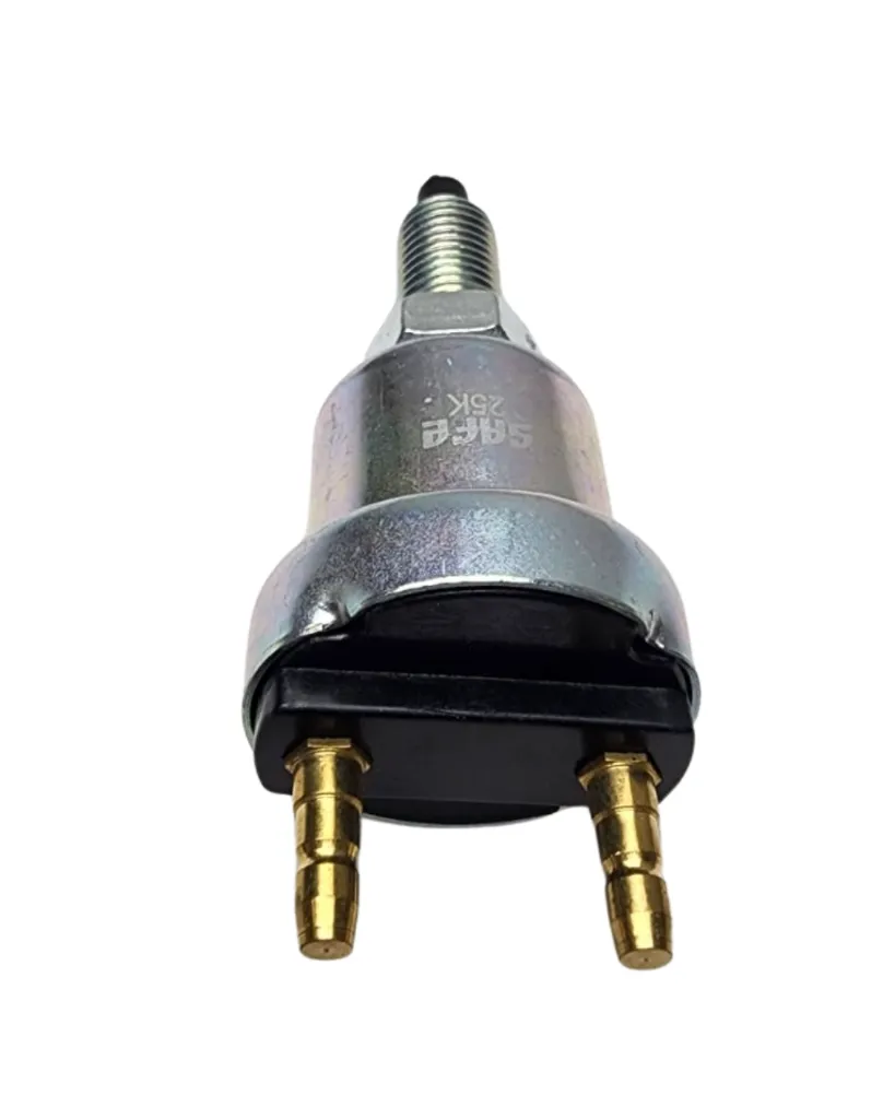 PRODUCTO (70).webp