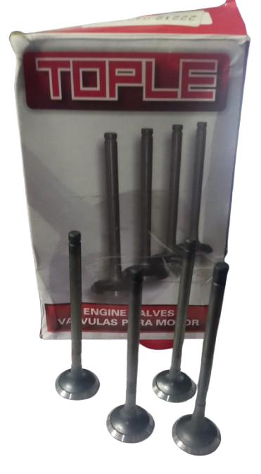 VALVULAS ION 1.0 ADMISION 22211-04000