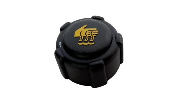 Tapa Deposito Renault Clio Megane Symbol 8200048024