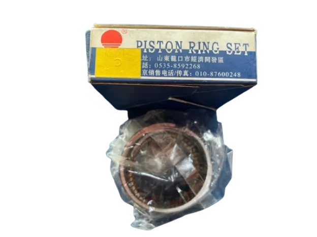[C1645] Anillos Motor 050 Chana 1.012 Ch-0201