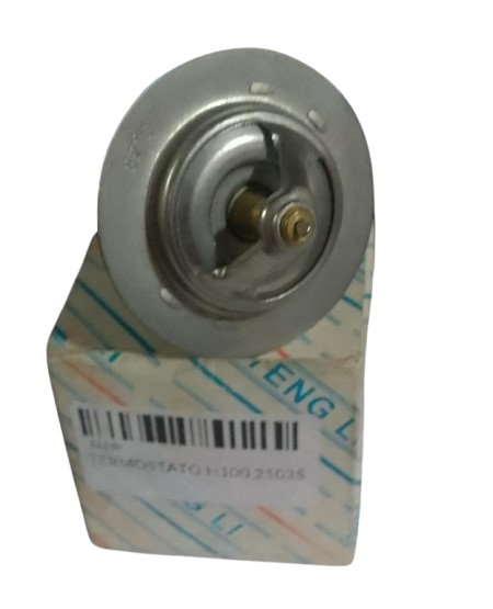 Termostato H100 25035