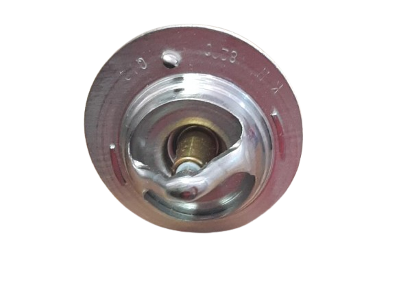 [E2041A] TERMOSTATO HY. ATOS/GETZ KARSCO - 25500-02550