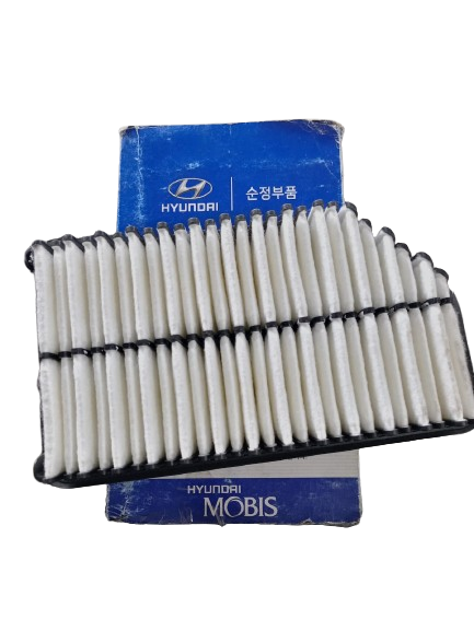 Filtro Aire Kia Rio Spice -Mk Mobis 28113 1R100
