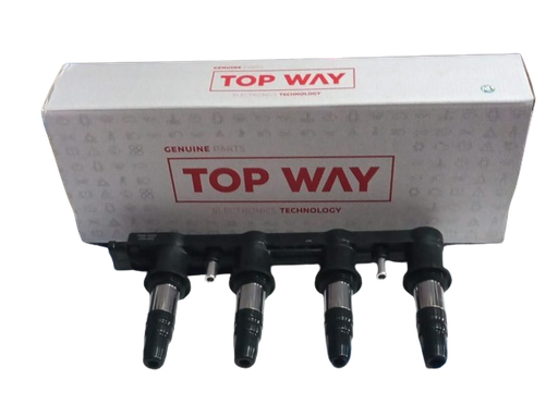 [E2019B] BOBINA CHEVROLET SONIC/TRACKER TOP WAY 55561655