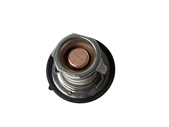 TERMOSTATO H-100/GRAND STAREX/KIA PORTER GAS (82 GRADOS-54MM) MARCA NES