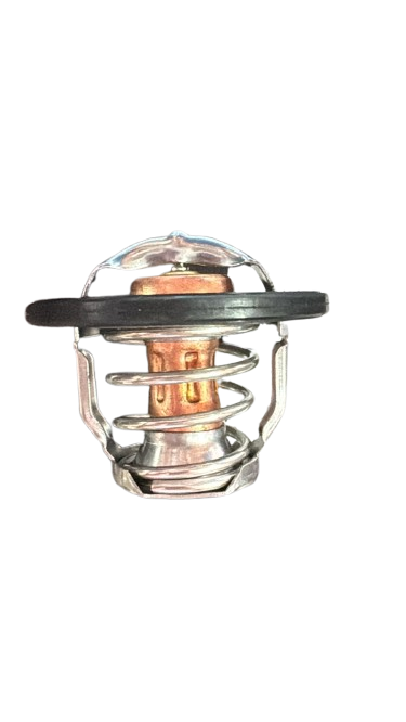 TERMOSTATO CAPTIVA 2.4 MARCA NES 12622410