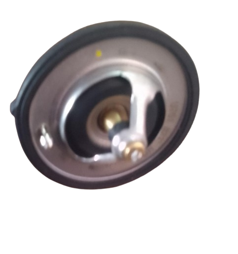 TERMOTATO ION XTREME/CERATO/SOUL/I25 25500-2B400