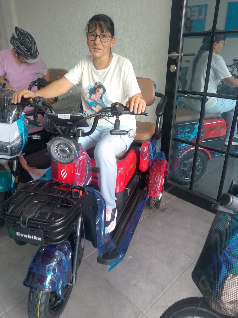 BICIMOTO ELECTRICA MODELO FAMILY