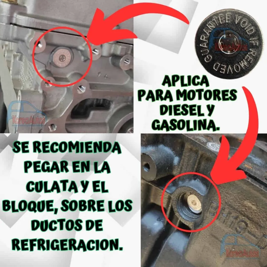 PESTAÑA.webp