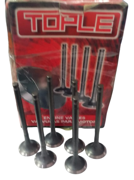 VALVULAS ADMISION ION 22211-04000