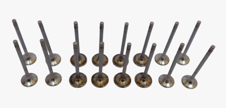 VALVULAS ESC Y ADM JUEGO X16 MAHINDRA EATON  0310DM0040N -