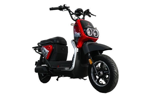 BICICLETA ELÉCTRICA MODELO POLAR EVOBIKE