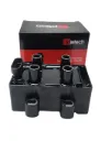Bobina Ignicion Valeo Logan Sandero Step Marca Injetech 245105