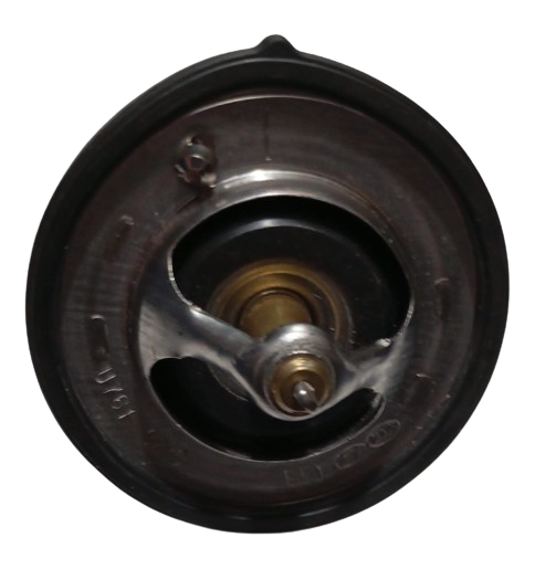 Termostato Hyundai Vision/Ix35 25500-25001 Mk Mobis