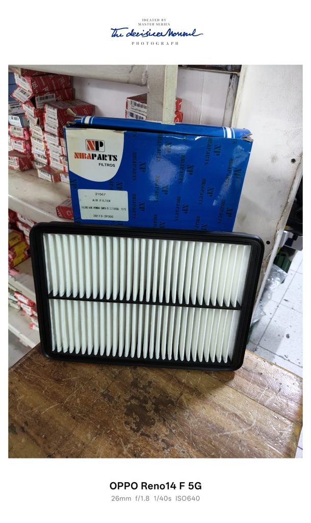 Filtro Aire Hyundai Santa Fe 2.2 Diesel 11/13 28113-2Pp300