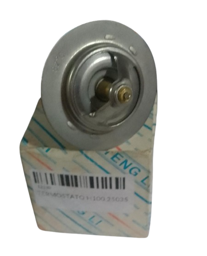 [E2180] TERMOSTATO H100 25035