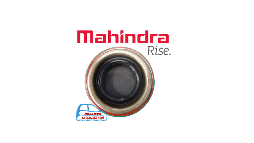 [8256] RETENEDOR EJE DELANTERO PICKUP 76802