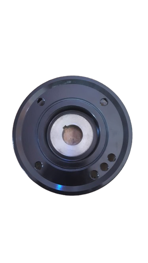 [C2116A] POLEA DAMPER SAIL 1.4 MKA GMSGS