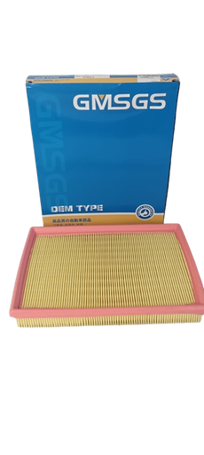 [C7534] FILTRO AIRE N200/N300 MKA GMSGS