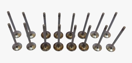 [8056A] VALVULAS ESC Y ADM JUEGO X16 MAHINDRA  0310DM0040N 