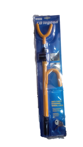 [X10307] SEGURO ANTI ROBO